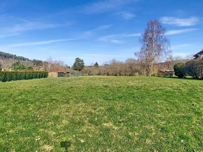 Vente Terrain PLAINE 67420