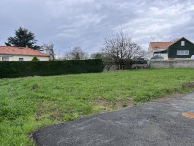For sale Land SAINT-PIERRE-MONTLIMART  49