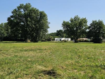 Vente Terrain LANTON  33