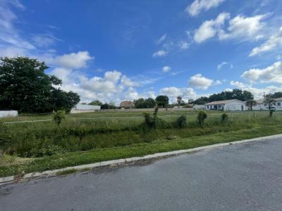 Vente Terrain LANTON  33