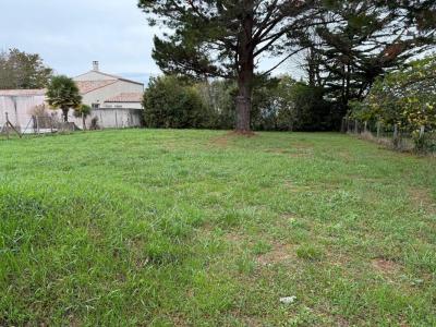 Vente Terrain SAINT-GEORGES-D'OLERON  17