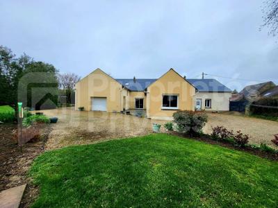 Vente Maison 7 pièces ENGENVILLE 45300