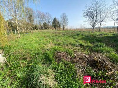 Vente Terrain HESDIN-L'ABBE 62360
