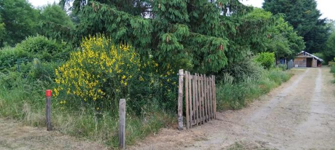 Vente Terrain BORDES 45460