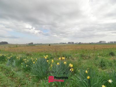 Vente Terrain ANGERVILLE-LA-MARTEL  76
