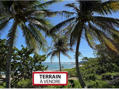 Vente Terrain PETIT-CANAL 97131