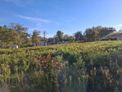 Vente Terrain BAS-MAUCO  40