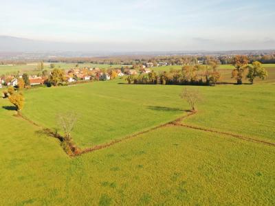 Vente Maison VULBENS