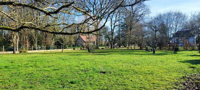 Vente Terrain FUSSY 18110
