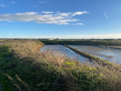 Vente Maison 5 pi�ces GUERANDE 44350