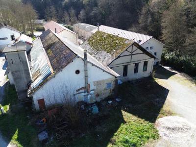 Vente Local commercial SAINT-GENIX-SUR-GUIERS 73240