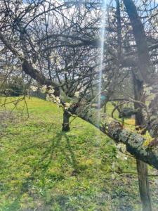 Vente Terrain DEOLS 36130