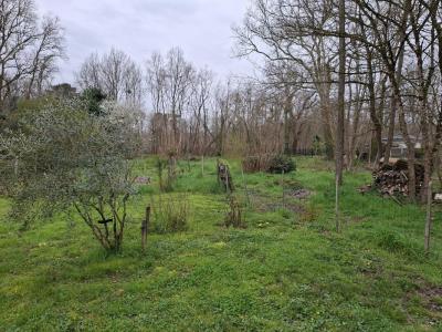 Vente Terrain SAINT-SELVE 33650