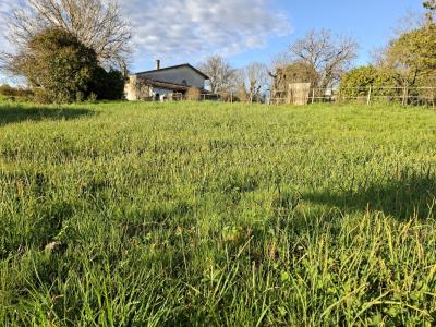 Vente Terrain CURSAN 33670