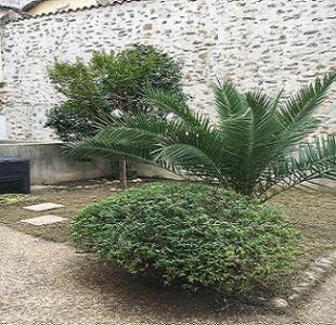For rent House CARCASSONNE 