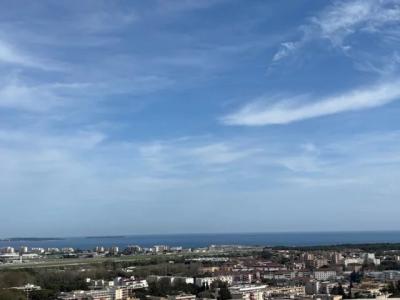 Location Appartement 2 pièces MANDELIEU-LA-NAPOULE 06210