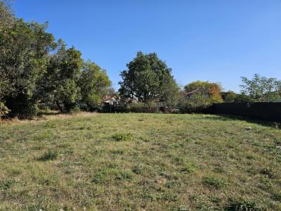 Vente Terrain SAINT-SAVIN 33920