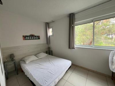 Location Appartement CALVI 