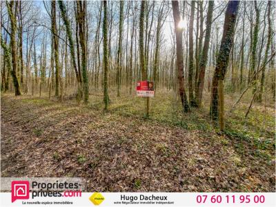 Vente Terrain THENIOUX 18100