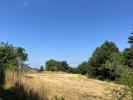 Annonce Vente Terrain Chateauneuf-la-foret