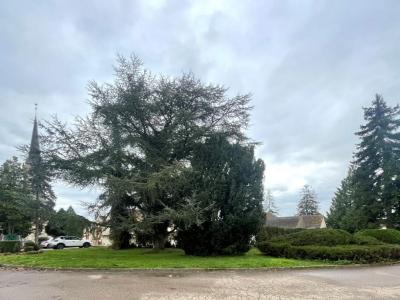 For rent House LONGCHAMP