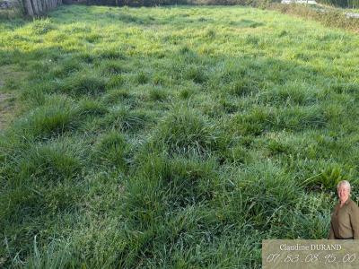 Vente Terrain PRINQUIAU  44
