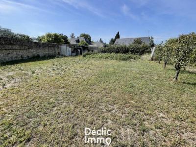 Vente Terrain BOURGUEIL 37140