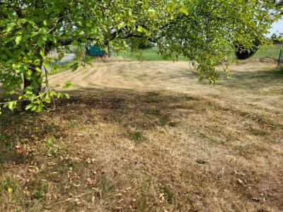 Vente Terrain DOMPIERRE-SUR-VEYLE 01240