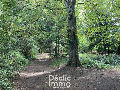 For sale House DESCARTES