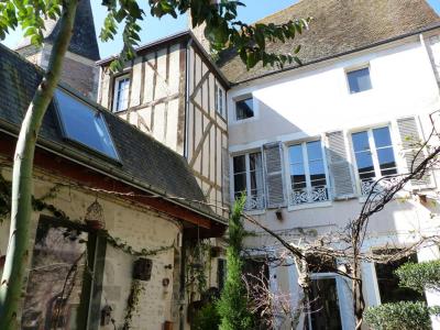 Viager Maison 10 pièces CHATILLON-SUR-LOIRE 45360