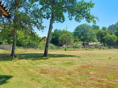 Vente Terrain SAINT-JEAN-D'ILLAC 33127