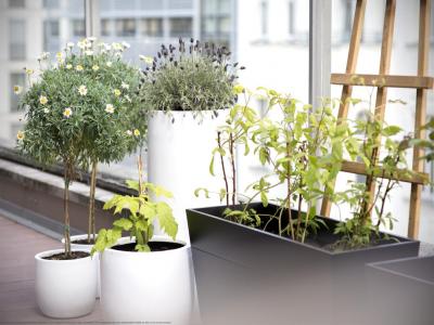 Vente Appartement 3 pi�ces BORDEAUX 33100