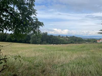 Vente Terrain SAINT-JUST-SAINT-RAMBERT 42170