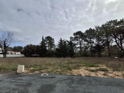 Vente Terrain SAINT-JEAN-DE-MONTS 85160