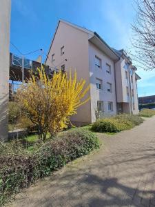 Location Appartement 2 pi�ces VIEUX-THANN 68800