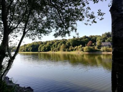 Vente Terrain BRUSVILY 22100