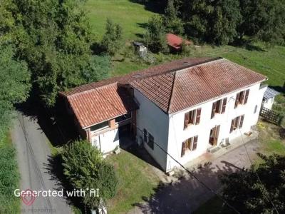 Vente Maison 5 pi�ces SAINT-LAURENT 31230