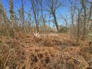 Annonce Vente Terrain Mios