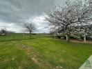 Acheter Maison 300 m2 Francheleins