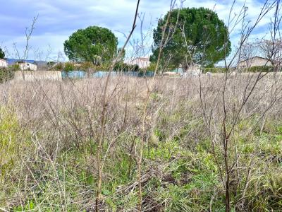 Vente Terrain SAINT-ANDRE-DE-SANGONIS 34725