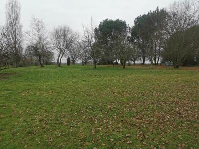 Vente Terrain SAINT-MARTIN-DU-BOIS 33910