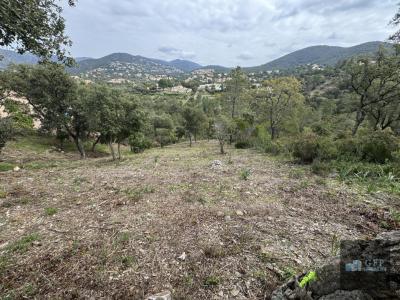 Vente Terrain LONDE-LES-MAURES 83250