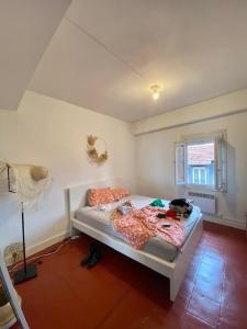 Location Appartement 2 pièces TOULOUSE 31000