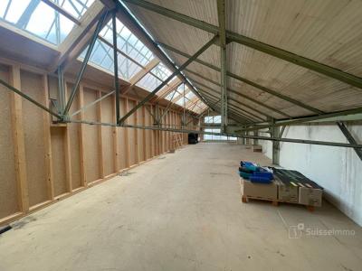 Location Commerce BELFORT  90