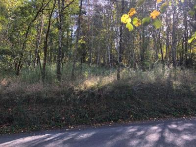 Vente Terrain LUZECH 46140