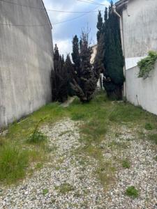 Vente Maison 3 pi�ces BOUSCAT 33110