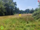 Acheter Terrain Mornay-sur-allier Cher