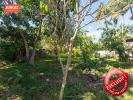 For sale Land Tampon  97430 278 m2