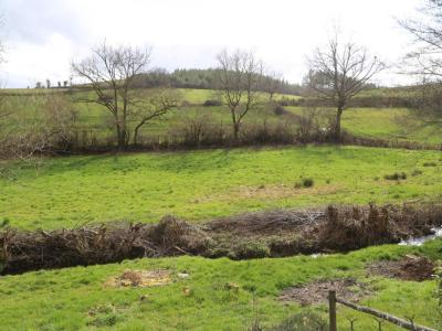 For sale House CHISSEY-EN-MORVAN 