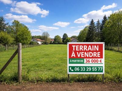 Vente Terrain SENS 89100